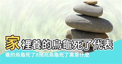 烏龜死掉擋煞|【風水烏龜】這幾點風水禁忌最需要注意 